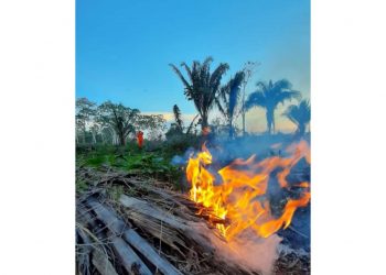 Bombeiros atendem ocorrência de incêndio florestal em Feijó