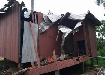 Árvore cai durante ventania e destrói casa em Feijó