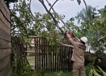 Temporal derruba árvore e parada de ônibus em Tarauacá