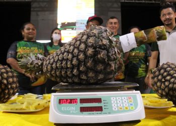 O prêmio de maior abacaxi ficou com o Sr. Nivaldo Carlos Rodrigues com 10.210 Kg