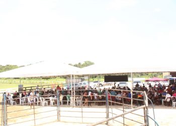 Paróquia de Tarauacá realiza o “Tradicional Leilão” de São Francisco de Assis