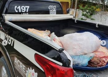 Mais de 200 quilos de carne são apreendidos pela polícia após furto de bois em fazenda de Tarauacá