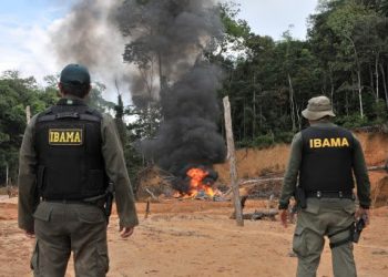 Concurso Ibama 2021: sai edital com 15 vagas efetivas para o Acre