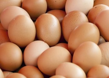 Preço do ovo aumenta 35% em Rio Branco nos últimos 12 meses