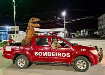 Dino Acre é ‘capturado’ pelo Corpo de Bombeiros em Tarauacá e vídeo viraliza
