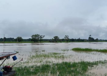 Rio Tarauacá apresenta sinais de vazante e população tranquiliza