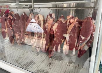 Com R$ 20 reais o kg, açougue municipal provisório no bairro da Praia é inaugurado pela prefeita Maria Lucinéia