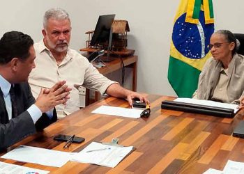 Petecão e Marina Silva discutem projeto de energia limpa e sustentável