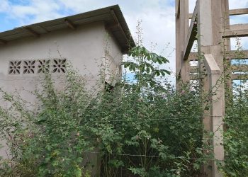 Idoso é visto limpando obra de sistema de abastecimento de água abandonado pela gestão de Zequinha, em Cruzeiro do Sul
