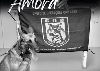 7º BPM de Tarauacá lamenta perda de Amora, cadeia policial
