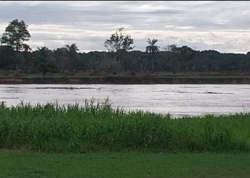 Rio Tarauacá registra aumento em seu nível após fortes chuvas, alerta Defesa Civil