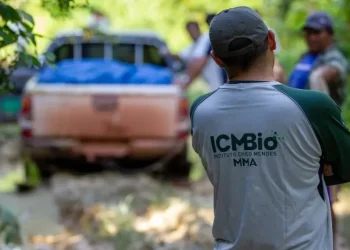 Inscrições para concurso do ICMBio seguem abertas até 3 de janeiro de 2025, com provas no Acre