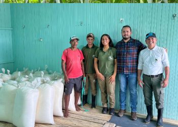 Projeto Tauari Revoluciona Mercado Justo com Primeira Entrega de Farinha e Aumento de 81% no valor da saca
