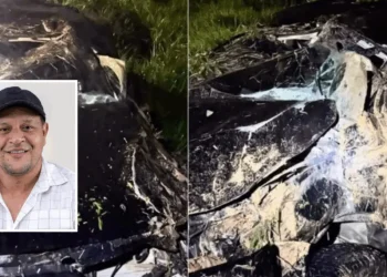 Vice-prefeito de Epitaciolândia capota caminhonete ao desviar de capivara na BR-317