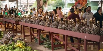 População reivindica a realização do Festival do Abacaxi, mas até o momento, a Prefeitura de Tarauacá não se pronunciou sobre o assunto