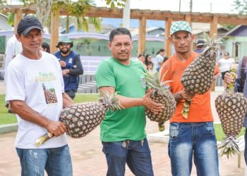 Feira do Abacaxi e da Agricultura Familiar terá premiação de R$ 20 mil, garantida por emenda do deputado Tchê