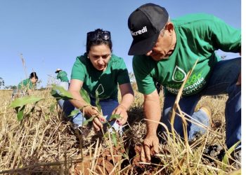 Sicredi apresenta ações para mulheres empreendedoras, transição energética no campo e outras iniciativas ligadas à sustentabilidade