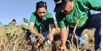 Sicredi apresenta ações para mulheres empreendedoras, transição energética no campo e outras iniciativas ligadas à sustentabilidade