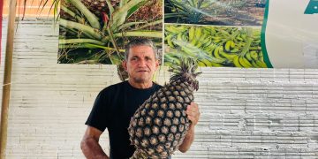 Vem aí a Primeira Feira do Abacaxi e da Agricultura Familiar em Tarauacá, organizada pela Cooptacre