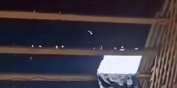 Vereadora Veinha do Valmar denuncia abandono e precariedade da Escola Estadual Joaquim Nabuco, no Seringal Ariópolis: “chove mais dentro do que fora”