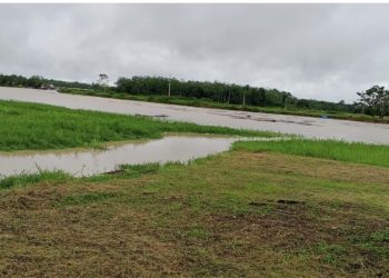 Rio Tarauacá sobe 2,20 metros após forte chuva e ultrapassa cota de alerta; Defesa Civil mantém monitoramento