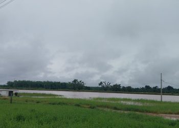 Chuvas intensas somam quase 200 mm em Tarauacá e rio atinge cota de alerta; situação preocupa autoridades
