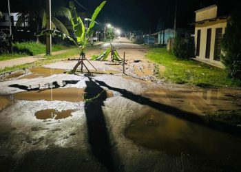 Moradores plantam bananeiras na Avenida Francisco Dias, em Jordão, e rua vira “bananal”