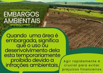Regularize sua situação ambiental em Tarauacá com quem entende