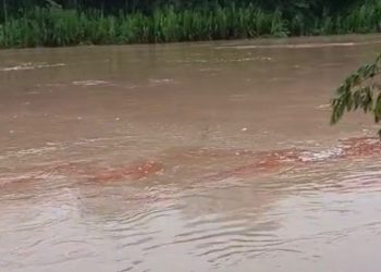 Vídeo mostra suposto vazamento de diesel no Rio Tarauacá e preocupa moradores em Jordão