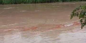 Vídeo mostra suposto vazamento de diesel no Rio Tarauacá e preocupa moradores em Jordão