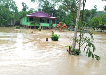 Cheia do Rio Gregório atinge 10 aldeias indígenas e afeta cerca de 140 famílias em Tarauacá