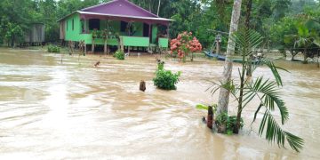 Cheia do Rio Gregório atinge 10 aldeias indígenas e afeta cerca de 140 famílias em Tarauacá