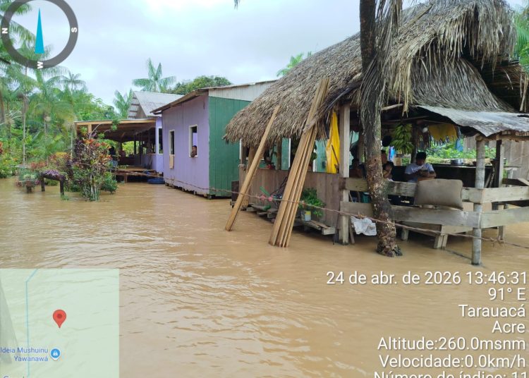 Cheia do Rio Gregório atinge 10 aldeias indígenas e afeta cerca de 140 famílias em Tarauacá