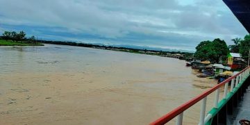 Alerta de cheia: rios Juruá e Tarauacá podem transbordar neste fim de semana no Acre, diz Davi Friale