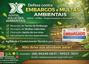 Embargos e multas ambientais? A Rovital tem a solução para sua defesa