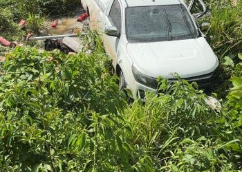 Caminhonete carregada com extintores sai da pista na BR-364 e motorista é socorrido por moradores