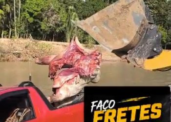 Sem matadouro municipal, Jordão mantém abate de animais sem fiscalização e expõe população a riscos sanitários