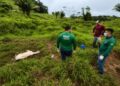 Idaf realiza vigilância sanitária em propriedades rurais de Tarauacá após registros de mortalidade bovina