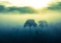 Onda de frio avança pelo Brasil e deve causar friagem intensa no Acre