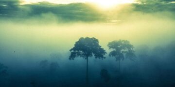 Onda de frio avança pelo Brasil e deve causar friagem intensa no Acre