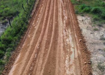 Prefeitura de Envira intensifica serviços de terraplanagem no Ramal São Sebastião