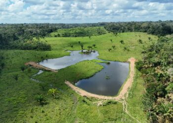 Transformando o campo: prefeito Railson visita comunidade beneficiada com açudagem e fortalecimento de associações em Feijó