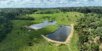 Transformando o campo: prefeito Railson visita comunidade beneficiada com açudagem e fortalecimento de associações em Feijó