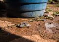 Mãe que agrediu filha após flagrá-la em caixa d’água é condenada por maus-tratos