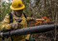 Feijó abre seleção para brigadistas de combate a incêndios florestais