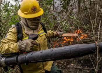 Feijó abre seleção para brigadistas de combate a incêndios florestais