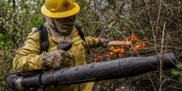 Feijó abre seleção para brigadistas de combate a incêndios florestais