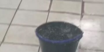 Chuva dentro da maternidade: vídeo mostra água caindo do teto, pacientes com camas afastadas e baldes usados para conter goteiras em Tarauacá