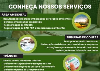 Conheça a Rovital: confira os trabalhos e serviços oferecidos pela empresa