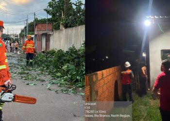 Vendaval destelha três imóveis e derruba árvore em bairro de Rio Branco